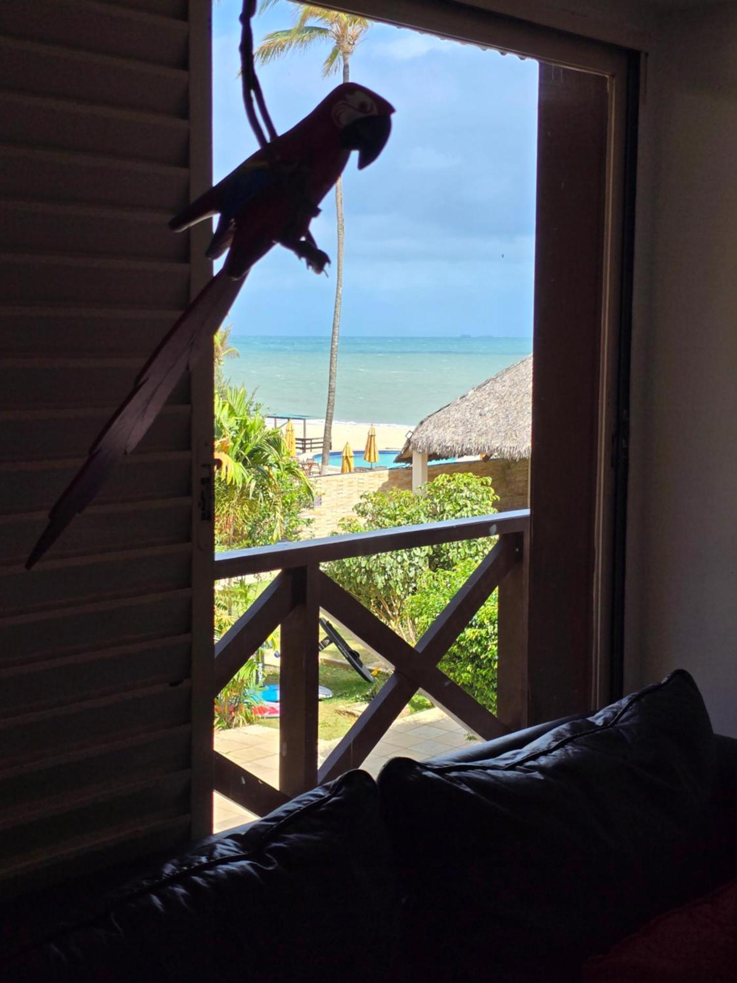 Frente Mar - Cumbuco - Eco Paradise エクステリア 写真